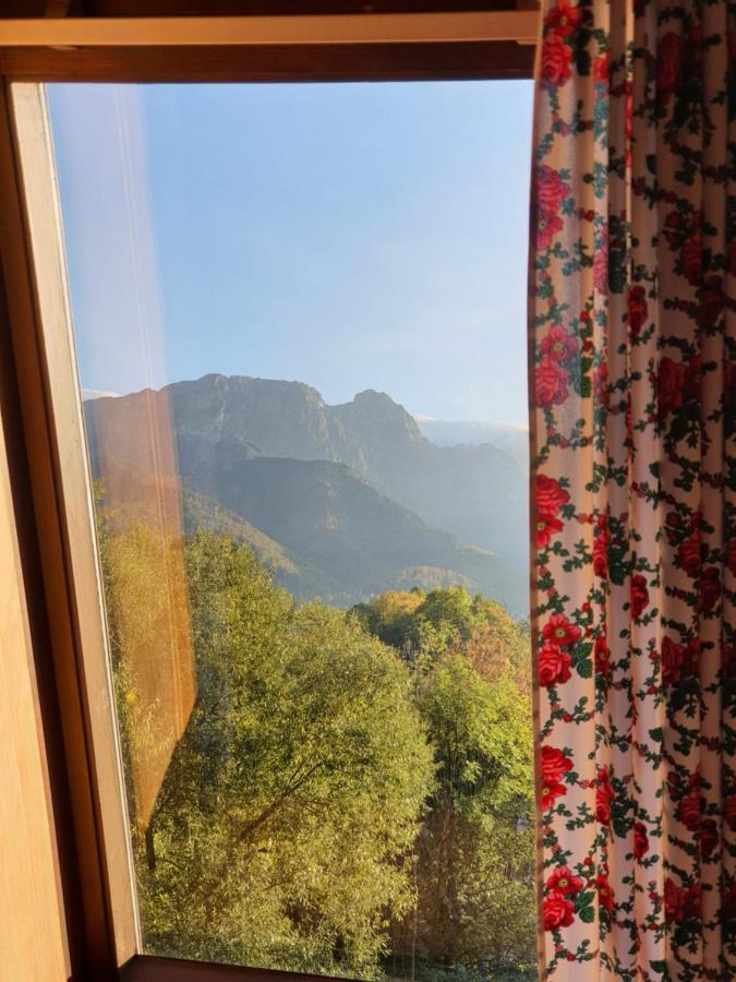 Aparthost Tatra Panorama Apartment Zakopane