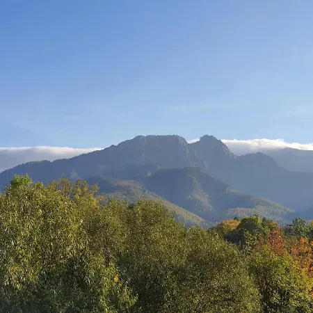 Aparthost Tatra Panorama Закопане Екстер'єр фото